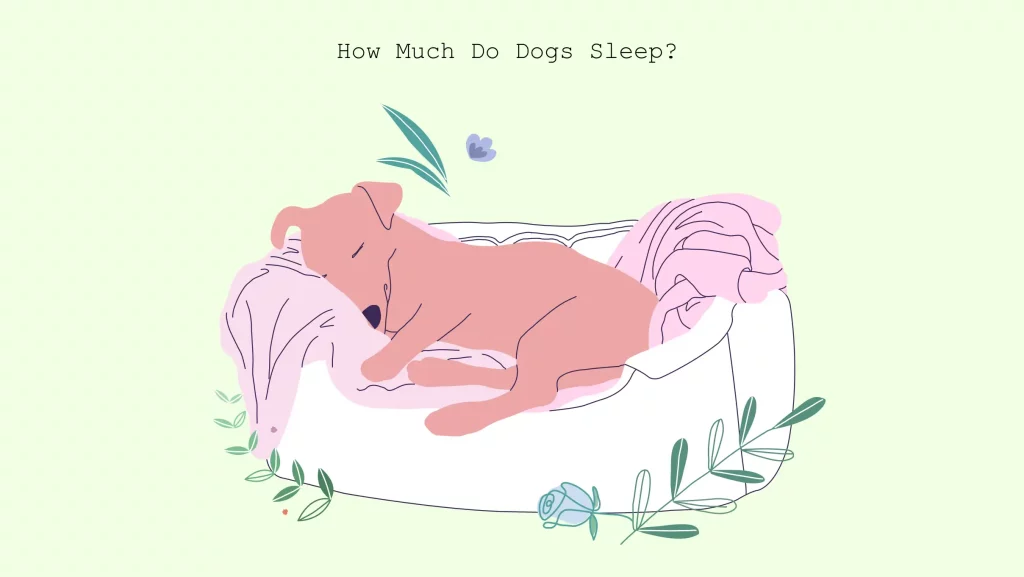 how-much-do-dogs-sleep-per-day-sleep-guides