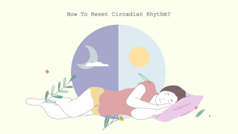 How To Reset Circadian Rhythm Sleep Guides 