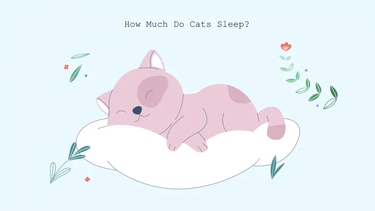 xxx how much do cats sleep illustration of cat sleep
