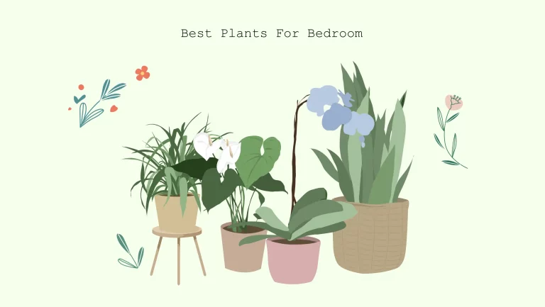 xxx Best plants for bedroom best plants for bedroom
