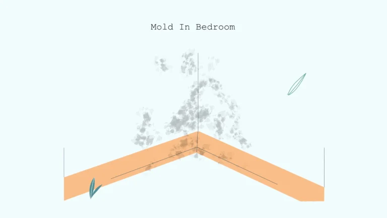 xxx Mould in bedroom 1 Mould-in-bedroom