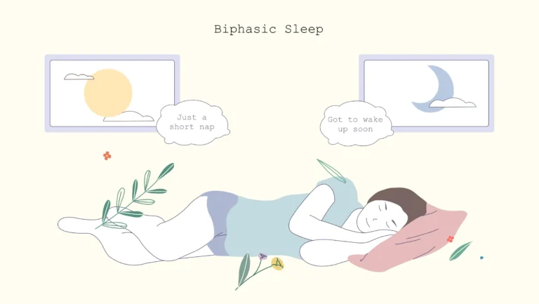 xxx Biphasic sleep biphasic sleep