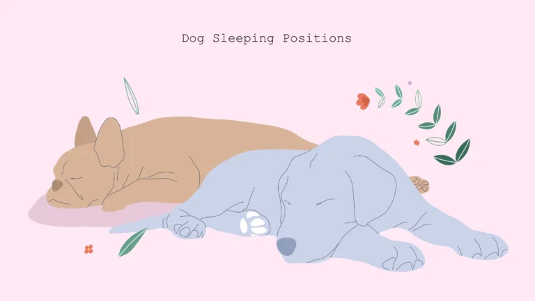 xxx Dog sleeping positions Dog sleeping