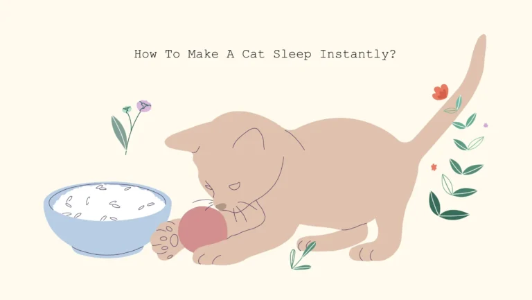 xxx How to make a cat sleep instantly how to make a cat sleep instantly
