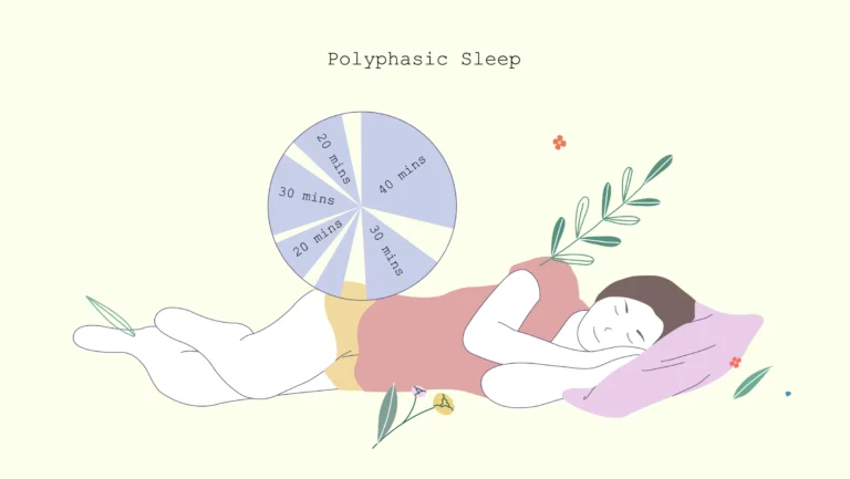xxx Polyphasic Sleep polyphasic sleep