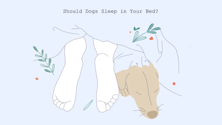 xxx Should dogs sleep in your bed Should dogs sleep in your bed