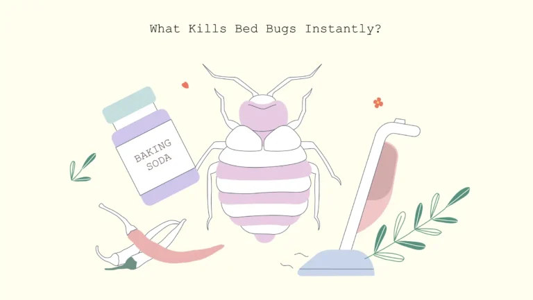 xxx What kills bed bugs instantly 1 What kills bed-bugs instantly